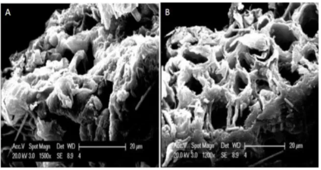 Figure  3.  Effect  of  contact  time  and  initial  dye  concentration  on  removal  efficiency  (pH  =  3,  adsorbent dosage 1 g/100cc)