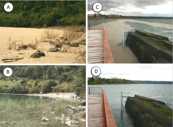 Figure 2: Repeated photographs 