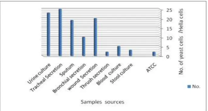Fig 1: Distribution of C. albicans strains according to the isolation source. 