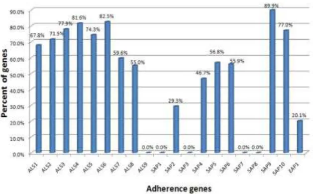 Fig 3: Distribution of C. albicans strains according to origin source and capacity to develop biofilm to inert substratum (none/low/moderate/high)