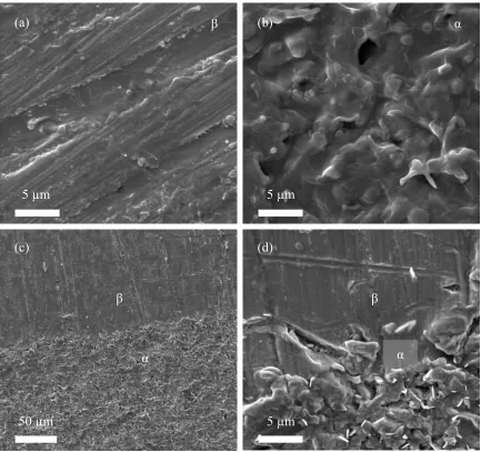 Figure 2.3 Scanning electronic microscopy images of the self-assembled monolayer coating on (a) β-region, (b) α-region, and (c, d) the interface between β and α-region of the patterned surface