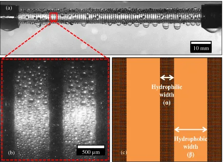 Figure 2.4 Condensation image of deionized water vapor on patterned copper tube, R2, in the experimental chamber under saturation condition of the atmosphere at subcooling temperature of 9°C is shown in (a)