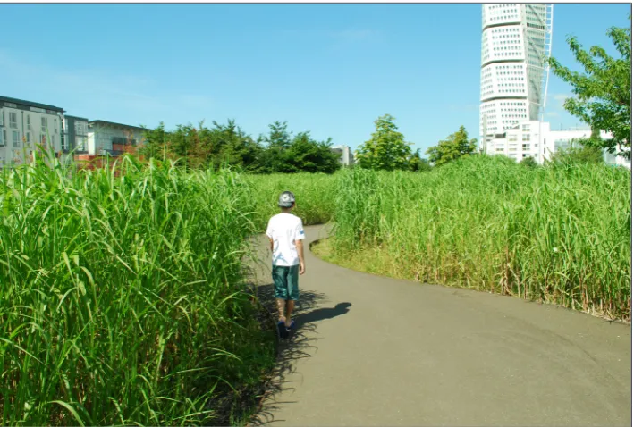 Figure 1: Gardens and natural 