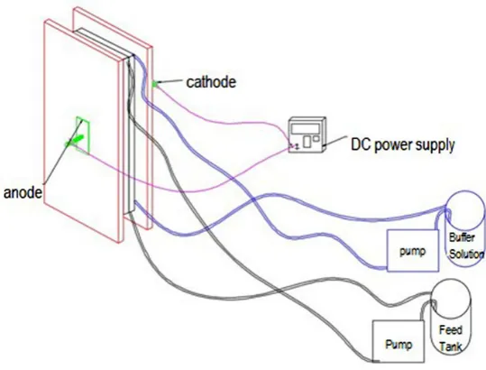 Fig. 1. Electrochemical reactor design