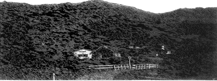 Figure 5: Onu/w Marae (two buildings 
