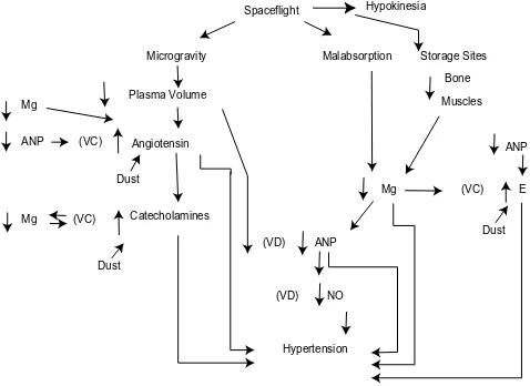 Figure 1 Proposed mechanisms showing how decreased atrial natriuretic peptide can cause severe hypertension secondary to dust inhalation, microgravity, and hypokinesia.Abbreviations: catecholamines, epinephrine, norepinephrine, increased by dust;   Vc, vessel constriction;  VD, vessel dilatation;  Mg, magnesium ions;  ANP,  atrial natriuretic peptide; hypokinesia, decreased movement; angiotensin, angiotensin effect, increased by dust; NO, nitric oxide (endothelial derived relaxing factor); e, endothelin, increased by dust.