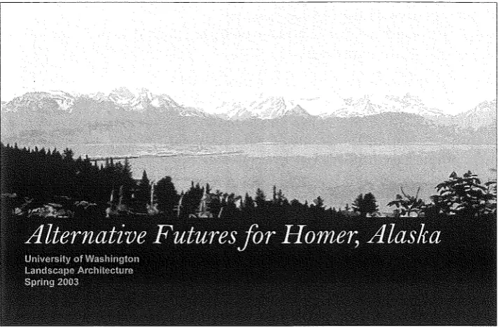 Figure 1: Booklet cover, Alternative 