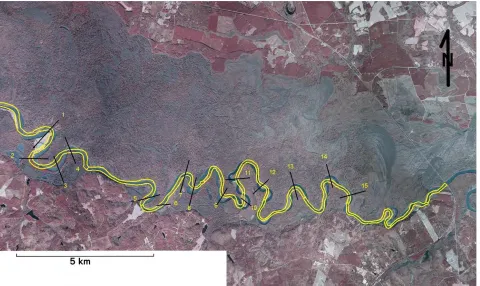 Figure 4: Location of cross sections used to measure rate of meander migration. The base layer shown is the 1999aerial photographs (SCDNR, 2014a).