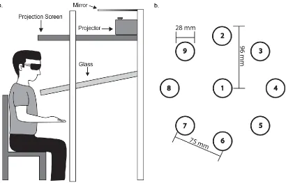 Figure 3.1 Experimental setup. a Side view of a participant sitting at the virtual display