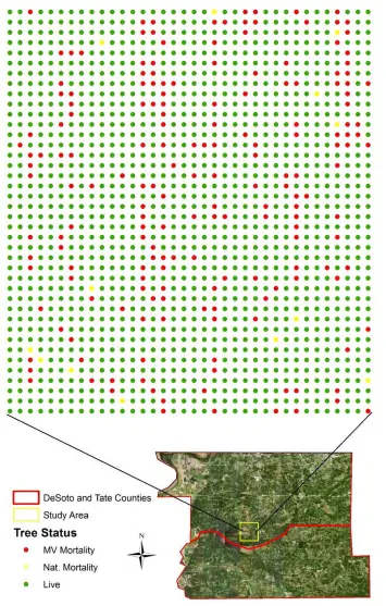 Figure 2: Status of trees planted in DeSoto County, MS after year seven.