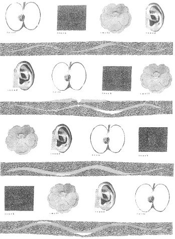 Figure 1: Representational inwge of blind 
