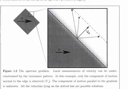 Figure 1.2 The aperture problem. 