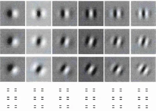 Figure 1.6 The spatial derivative filters are rotated through 360degrees in steps of ISdegrees in order to model the orientation column found in the visual cortex