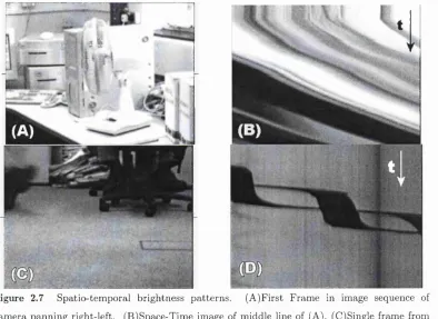 Figure 2.7 Spatio-tem poral brightness patterns. 