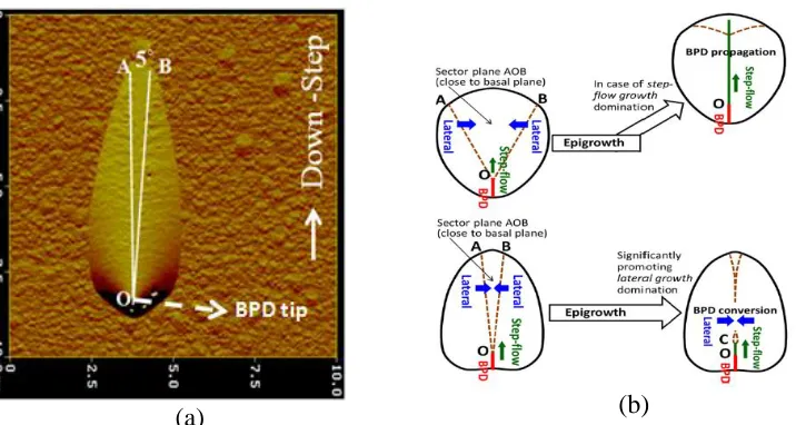 Figure 4.6 Schematic showing influence of large sector and narrow sector opening of BPD etch pits (a) Typical AFM image of the BPDs seen on the buffer epilayers, (b) for propagation and conversion