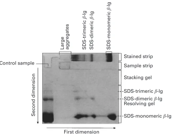 Fig. 2. Two-dimensional electrophoretic patterns of a heat-treated (75 �C for 8 min) solution of β-lactoglobulin (100 g�kg solution) in permeate prepared from a solution of whey protein concentratepowder in water (100 g�kg)
