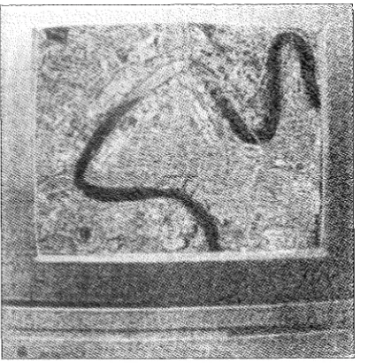 Figure I: site aerial - river connections 