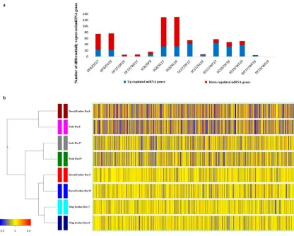 Figure 3.1. (a) Graphically displays the number of differentially expressed miRNA genes for all 14 comparison groups