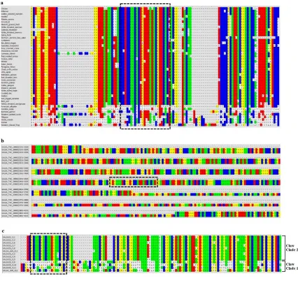 Figure 3.3. (a) Illustrates the nucleotide alignment of Aldhla3 sequences from 45 tetrapod species of which 37 are avian species