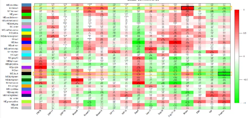 Figure 4.1. Displays the heatmap of Module-trait relationships for the co-expression network