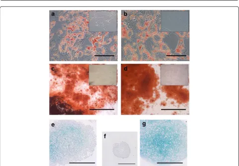 Fig. 4 Flow cytometry analysis. Representative flow cytometry histograms with percentages of endometrial and BM MSCs (n = 6 and n = 3 horses,respectively) positive for different MSC, perivascular, and hematopoietic cell surface markers