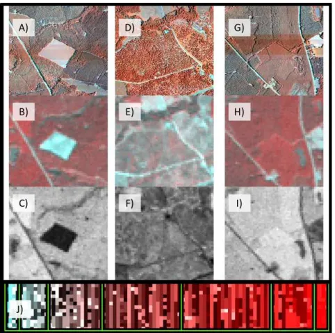 Figure 4: Visually assessed A-C) non-forest, D-F) sparseforest, and G-I) closed canopy sites as they relate tosamples in the J) pseudo-Landsat image (Figure 3 andhow they appear in the 2010 color-infrared NAIP (A, D,G), the winter TM (B, E, H), and the NDVI (C, F, I)images.