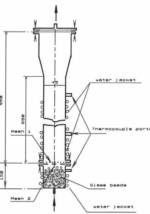 Figure 3. 1 Diagram of gas-solid fluidized bed reactor (unit: mm) 