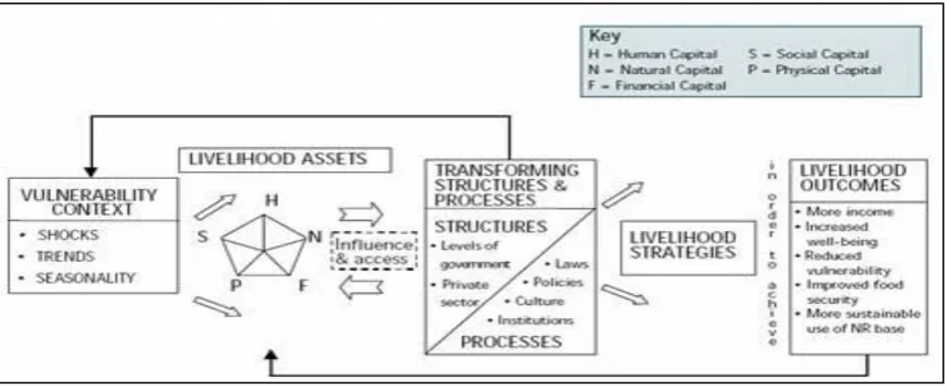 Figure 1: Sustainable Rural Livelihoods Framework (DFID, 1999) 