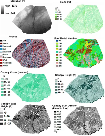 Figure 2: Spatial distributions of land and tree parameters used as input to the FARSITE model of the HinckleyFire.