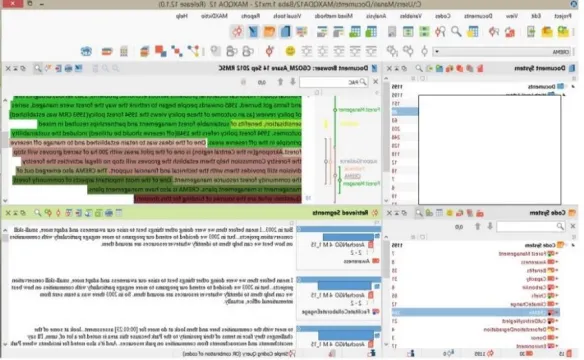 Figure 3.5 Screen shot of the MAXQDA interface showing the  initial codes. Source: Author 