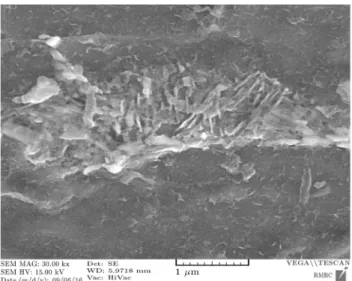 Figure 4. Banding structure in the microstructure of original steel coiled tube.