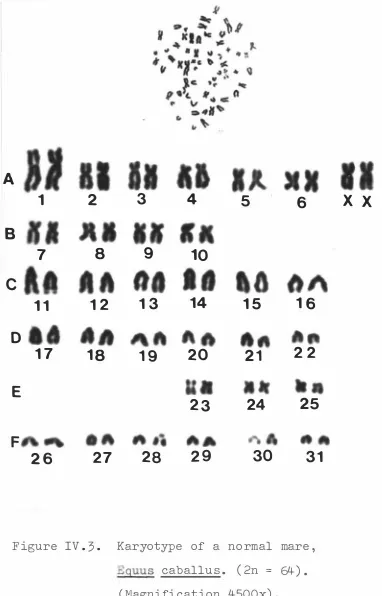 Figure IV . 3 . 