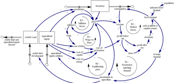 Figure 3 shows the price of output at the center of the feedback loop structure of the agricultural system of our model, showing the interplay of major elements and forces determining its behavior.