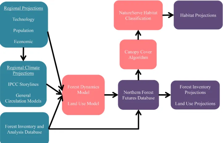 Figure 2: Modeling process used to project changes in the areas of forest habitat classes by 2060.Population,technological, economic, and climate projections served as input to Forest Dynamics and Land Use Models and drovechanges in the extent and composit