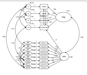Figure 1: Positive and negative sexual self-concept model