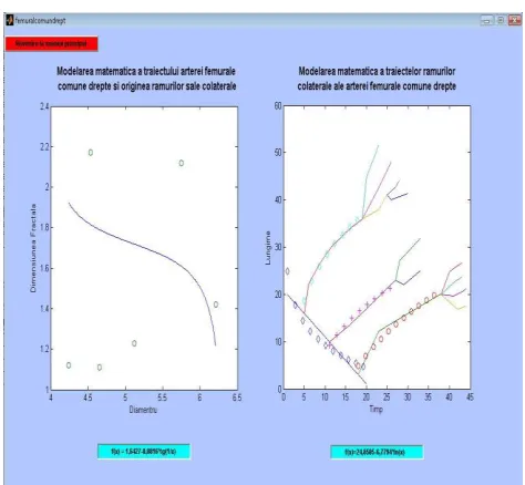 Fig. 7: Image processing of the aortic trunk terminal system  