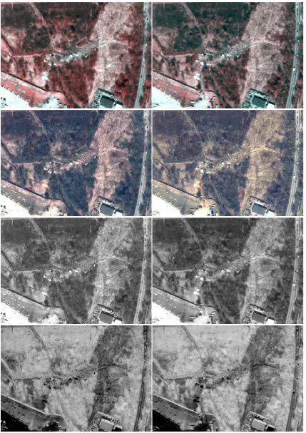 Figure 6: Examples of diﬀerent image band manipulations of April 11 (left col.) and 12 (right col.) images: row 1is multispectral information merged with panchromatic layer; row 2 is image color picture; row 3 is panchromaticimage; and row 4 is inverted pa