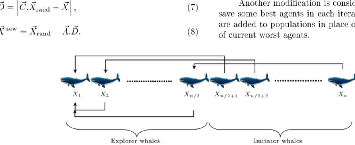 Figure 1. Whales group and pair of imitator whales.