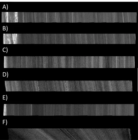 Figure 5: Reconstituted density images (reduced) of oursamples provided by SilviScan (A-D four samples of onesilver birch tree; E-randomly selected silver birch disk;F-the subject tree branch sample).