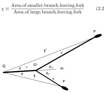 Figure 2.1: The geometry associated with the analysis of are arbitrarily close to point locates the intersection of the centralline of the incoming branch arbitrarily close to pointbranches denote positions of equal branch area;P ′ Othe fork