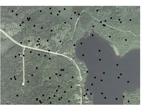 Figure 1: a sample dot grid with randomly located dots.