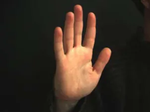 Figure 3: Hand’s boundary detection 