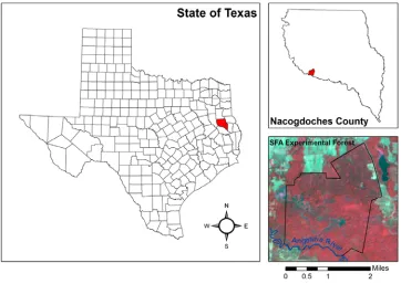 Figure 1: Location of the SFA Experimental Forest with color-infrared imagery.