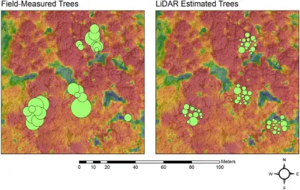 Figure 5: Crown radius comparison of ﬁeld-measured trees and LiDAR-estimated trees.
