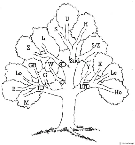 Figure 2: Model classes after adding categories for sizedecline (SD) and second order (2nd) models to thoseproposed by Zeide (1993), giving four main branches for‘tree’ questioning