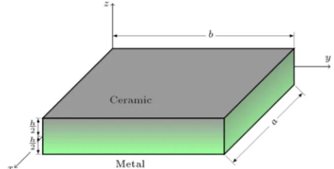 Figure 1. Schematic representation of a FG micro-plate.