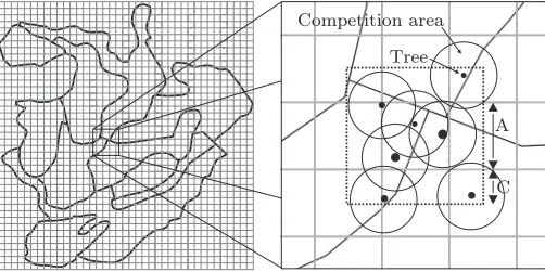 Figure 3: The sample area overlaid with squares. A treeis assigned to the cell it resides within and linked to allcells its competition area overlaps.