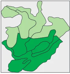 Figure 9: The sample area covered with roughly 50%dense (darker) forest and 50% sparse (lighter) forest.