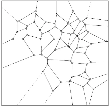 Figure 3: Simulated landscapes with 49 stands usingVoronoi diagram method with an initial spatial pointdistribution of p∼x2 + y2.