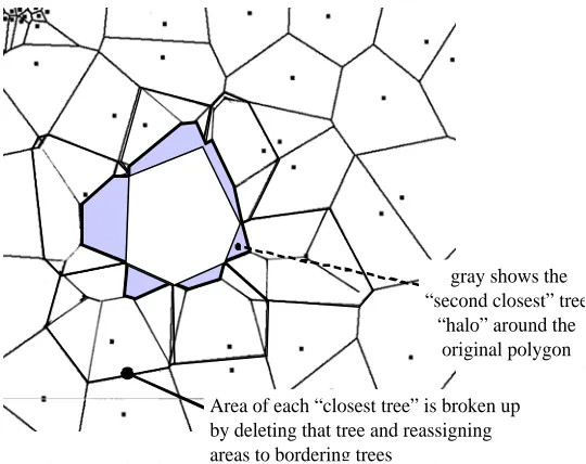 Figure 3: A “halo” of slivers forms along the border ofthe original polygon to indicate where it would be chosenas the “second-closest” tree.